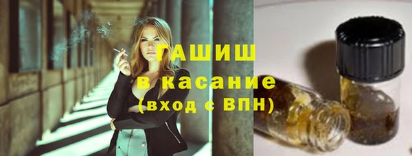 сатива Верея