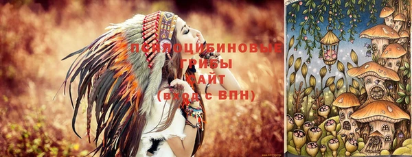 2c-b Верхний Тагил