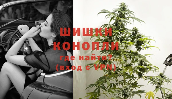 сатива Верея