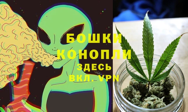 сатива Верея