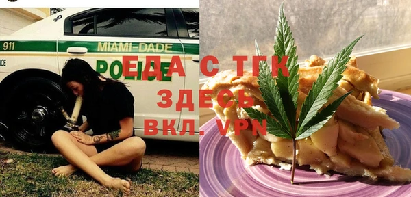 сатива Верея