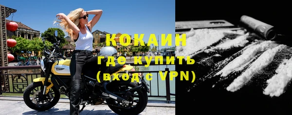 сатива Верея