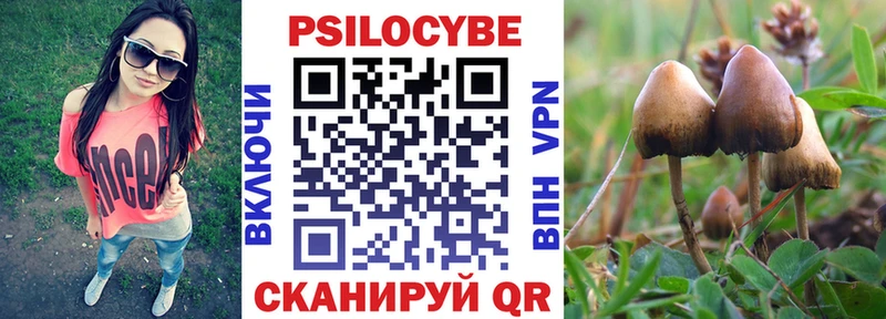 Купить Удачный Псилоцибиновые грибы GOLDEN TEACHER
